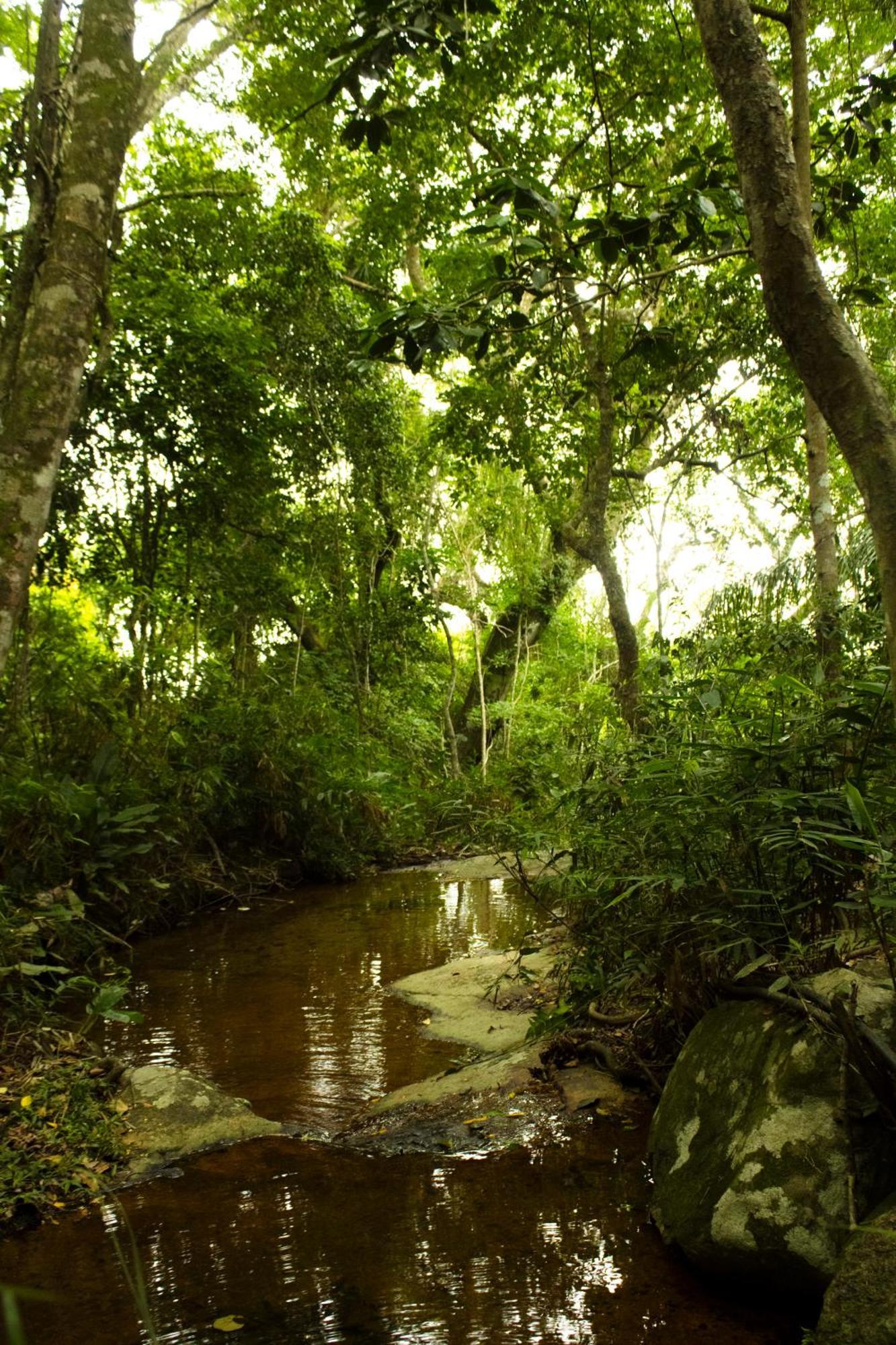 Soluna Hospedagem Familiar - Diarias De Acomodacoes Unicas Florianópolis 外观 照片